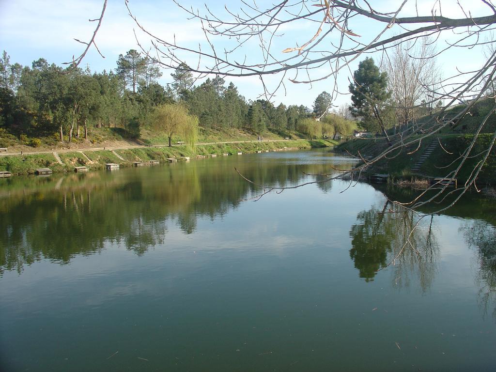Casa Da Aldeia Villa Constância Oda fotoğraf